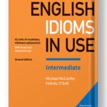 Idioms In Use English Intermediate
