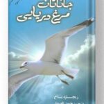 کتاب جاناتان مرغ دریایی کتاب کوله پشتی